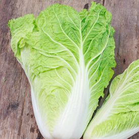 Michihili, Pak Choi Cabbage